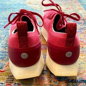 Like New Allbirds Tree Flyers